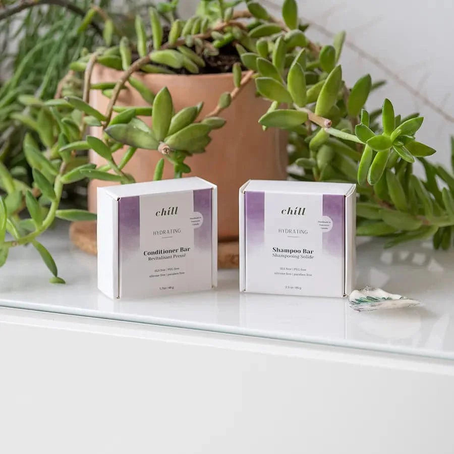 Feuchtigkeitsspendendes Shampoo- und Conditioner-Riegel-Set